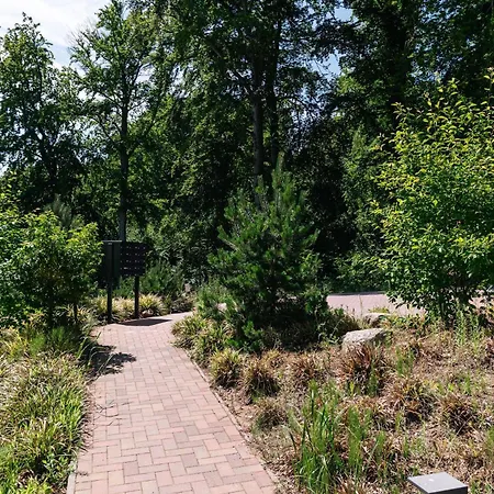 公寓 Haus Waldidyll, Waldperle